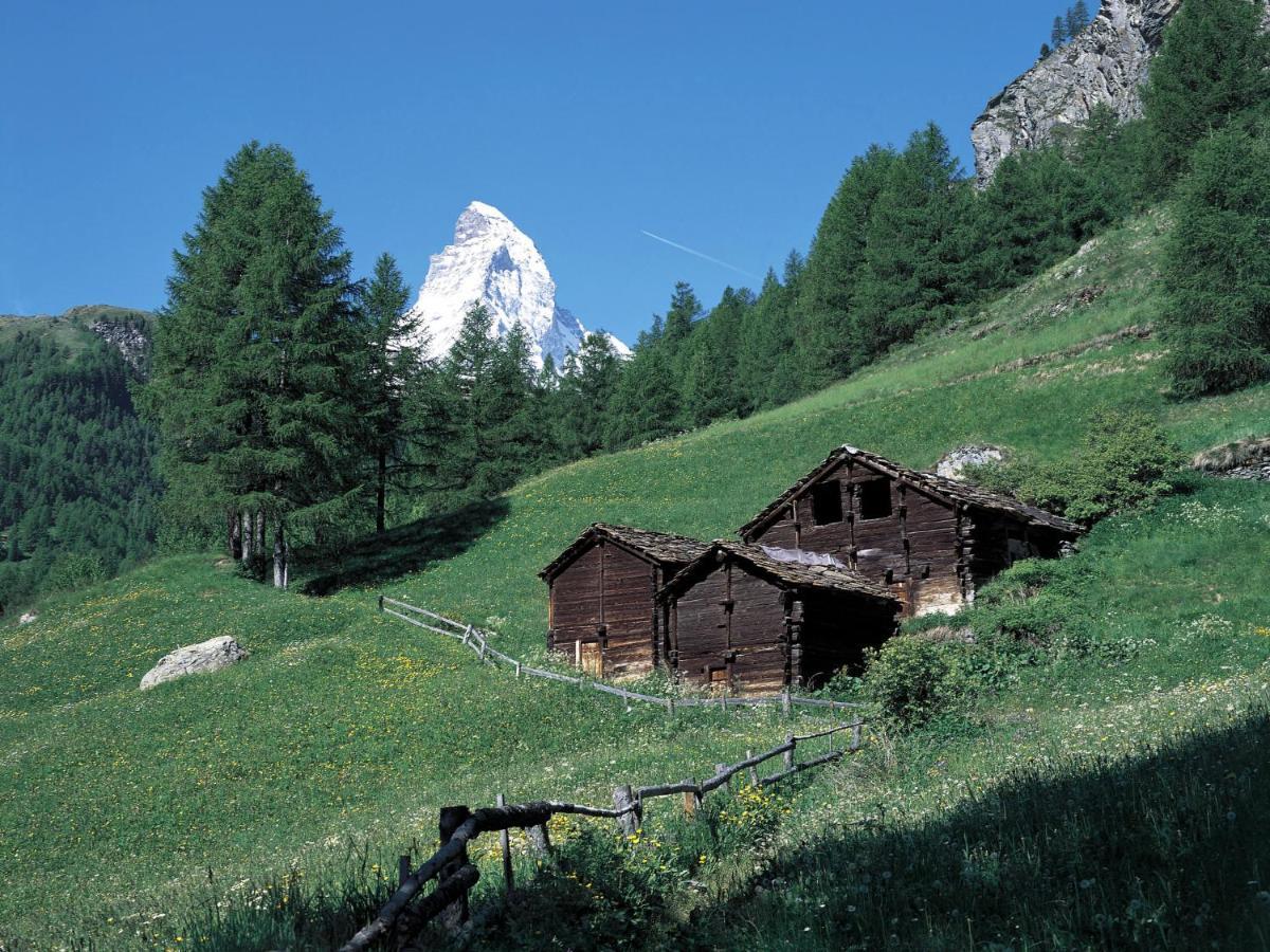 Apartment Zur Matte B-1 Zermatt Exterior foto